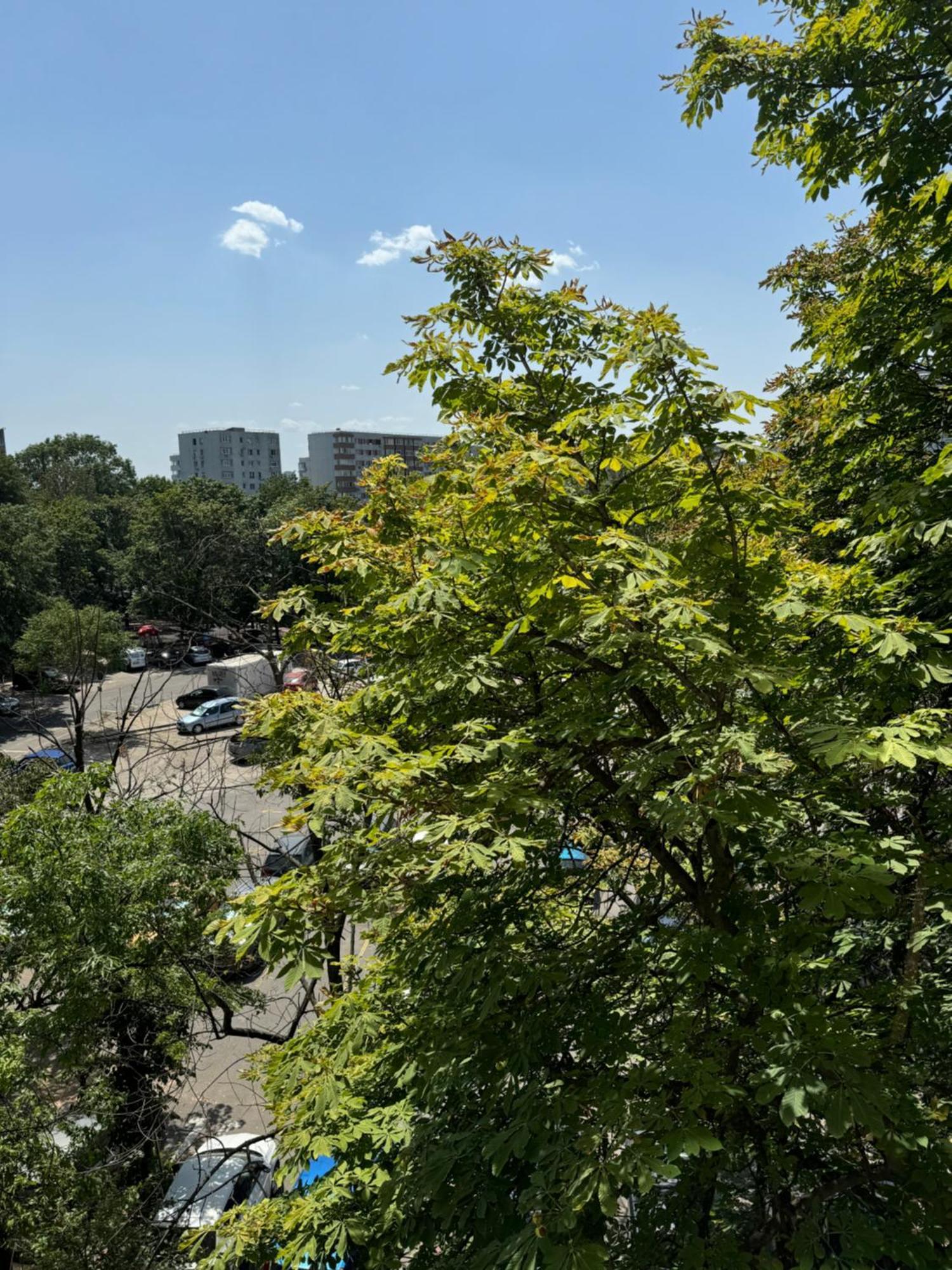 Park Lake Apartment Bukarest Exterior foto